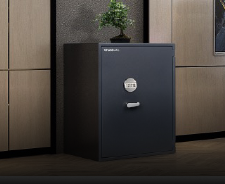 Explore Safes : Discover Insafe – Insafe International